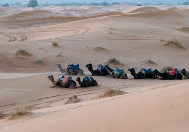 2 DAYS TOUR FROM MARRAKECH TO ZAGORA DESERT