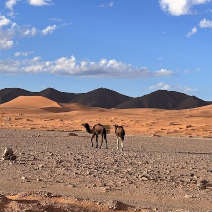 5 DAYS DESERT TOUR MARRAKECH TO FES