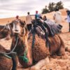 TOUR 3 DAYS OUARZAZATE TO ERG CHEGAGA DESERT