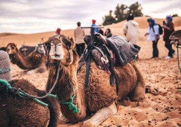 TOUR 3 DAYS OUARZAZATE TO ERG CHEGAGA DESERT