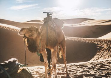 6 DAYS DESERT SAFARI TOUR FROM MARRAKECH