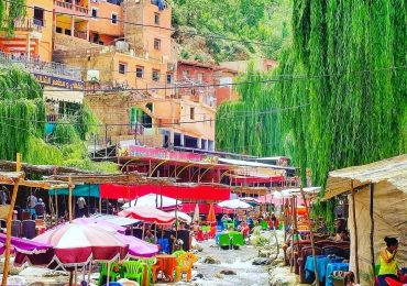 OURIKA VALLEY DAY TRIP