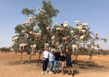 9 days Morocco summer tour from Marrakech