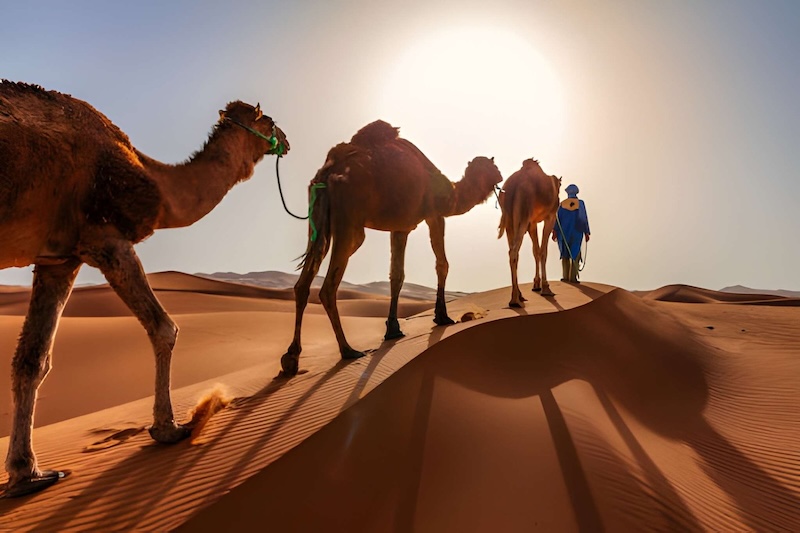 2 DAYS MERZOUGA DESERT EXCURSION FROM OUARZAZATE
