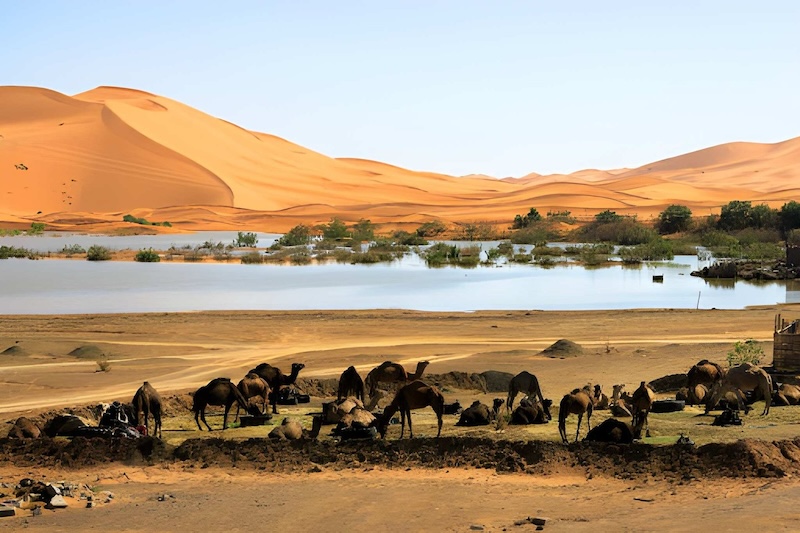8 DAYS CASABLANCA TO MARRAKECH DESERT TOUR